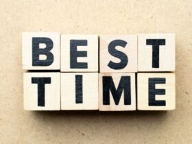 Exploring the Best Time of the Year to Prune Trees