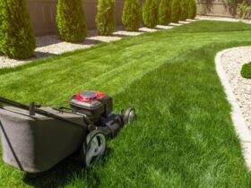 Good Lawn Care