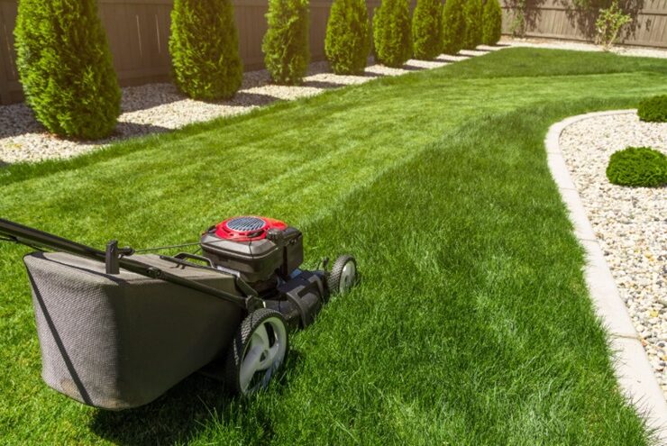 Good Lawn Care